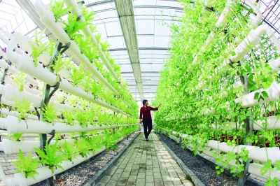 �㽭�ֿڹ��������н�������ũҵ����ͼ��