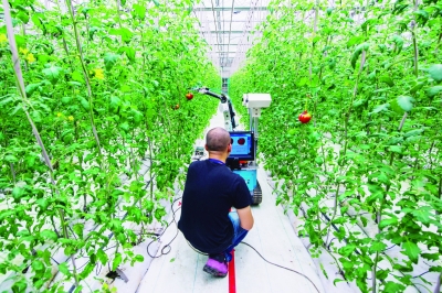 �귢��̬԰���߲�ժ������