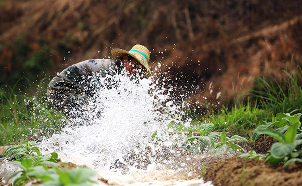 ������ɽ����������