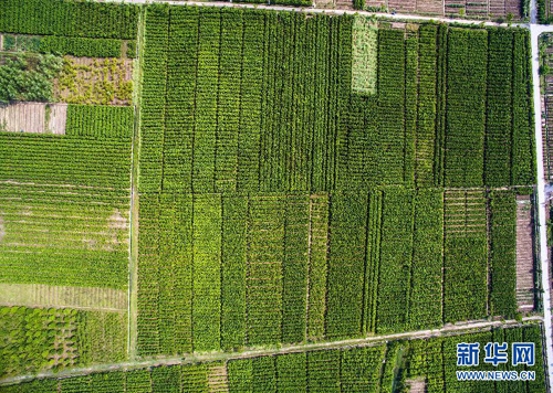 ͩţŴĴƬر͵ɣǣɣֳæµ