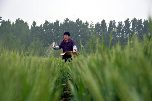 ɽ����ƽ�أ����ũҵ����æ