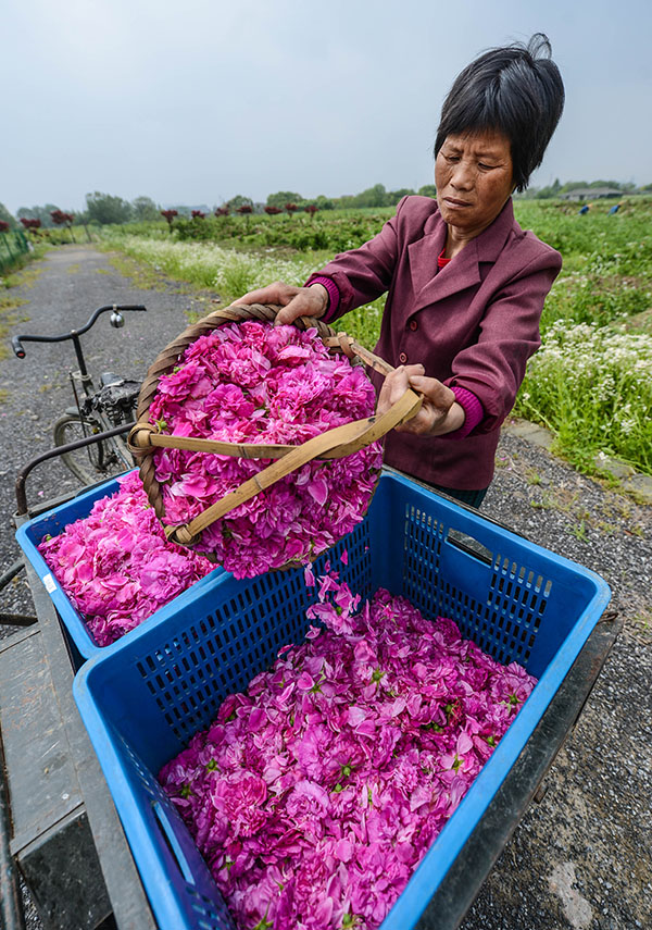 4��29�գ�õ��԰���˽���ժ�Ĵ���ʿ��õ�廨װ�䡣