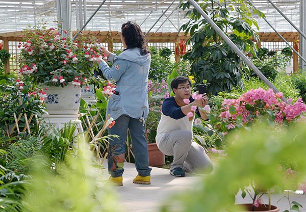 4��28�գ��ο��ں��ͺ����ж���ũҵ԰����ιۡ�