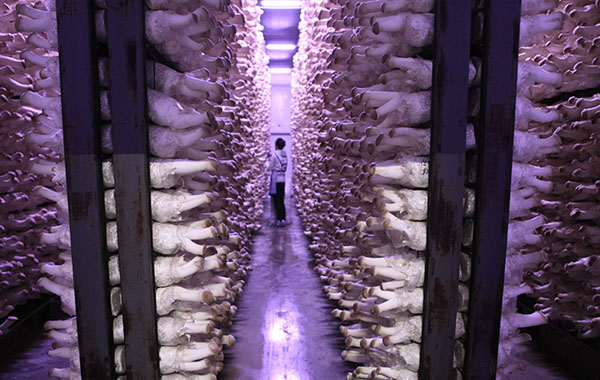 ʳ�þ�֮��ӱ�ƽȪ�ع�����ʳ�þ�����æ