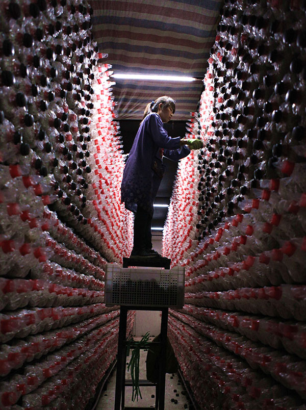 4��29�գ������ںӱ�ƽȪһ��ʳ�þ���ҵ���������ڲ鿴���������