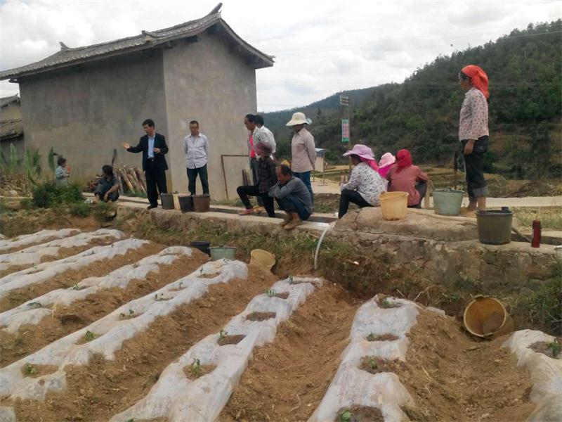 �����ϻ�����¶�緢չ������ҵ��ũ����