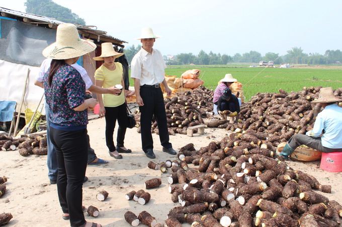 ����ƽ�𣺼���������ˮ���߲˲�ҵ��չ