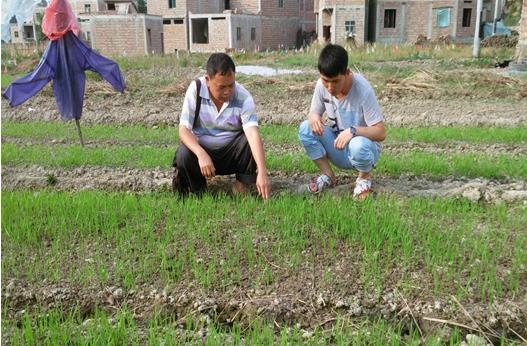 ���Ϲ����ص�����ˮ�������������� ���ƺ�