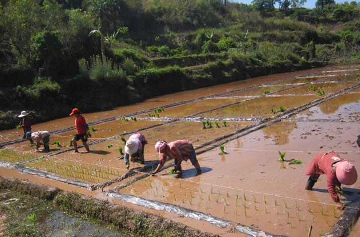 ������Ϫ��ũ��Ժ�л�ˮ���������Բ����