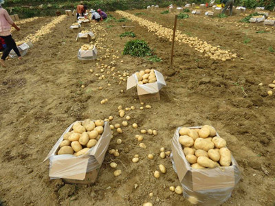 ���������ػ�����չ���������߲�������Ŀ������ʵ�չ���