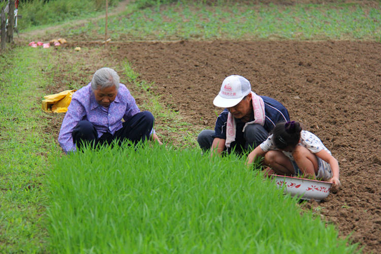 �����ڰ��ش��޴�ũ����һ���������庵��æ