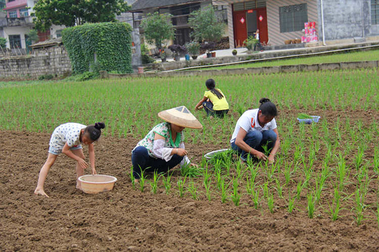 �����ڰ��ش��޴�ũ����һ���������庵��æ2