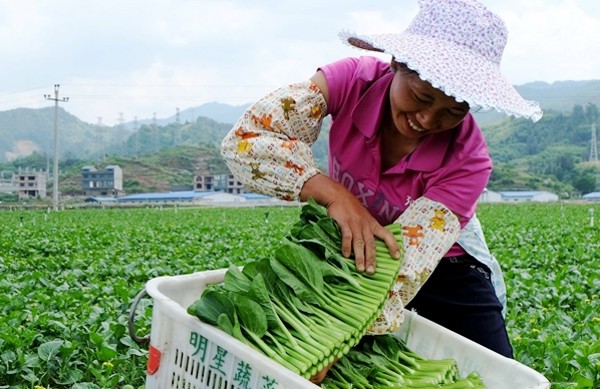 51գŽطԴɫũҵ޹˾߲˻﹤æµţһλ˽ժòװ