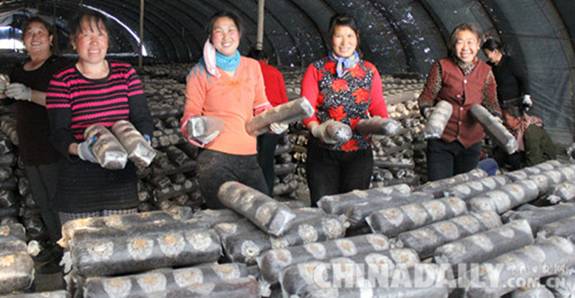 ӱеƽȪ356רҵӳΪʳþҵ