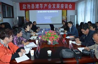 宁夏盐池县召开滩羊产业发展座谈会