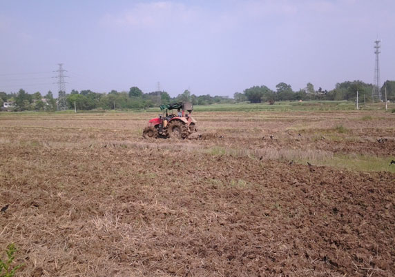 ���ջ����أ���ҩ���