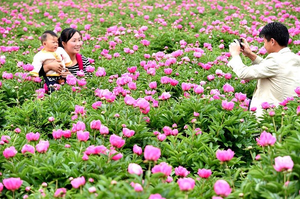 ��������25��Ķ��ҩ��ʢ��