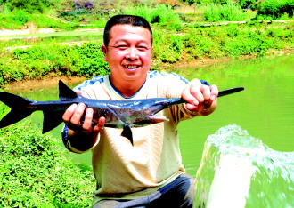 �����޵��ع���ˮ����ֳ������Ʒ�ֽṹ �ḻ�г�