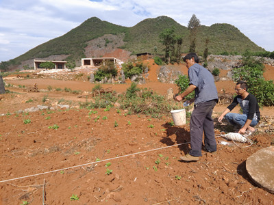 ������ɽ������ũ��վ��ǿ½����ֲ�����ļ���ָ��