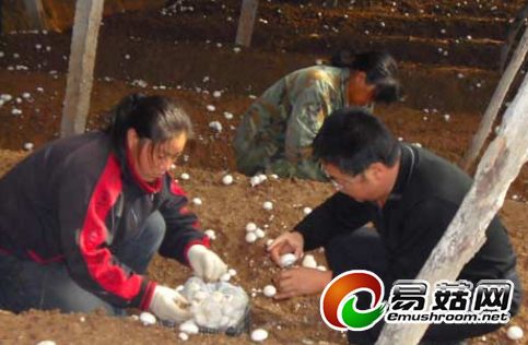 ���ɳ�壺����˫�߹�����200��