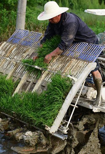 ʡ̰ũ繤ԱΪũле56㣩