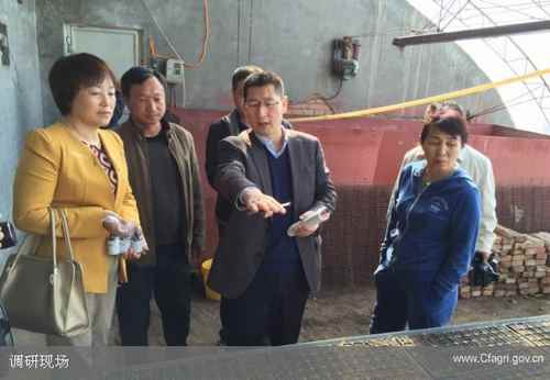 ���ɹų���У�ȫ����Լ������ר��������е����߲������������