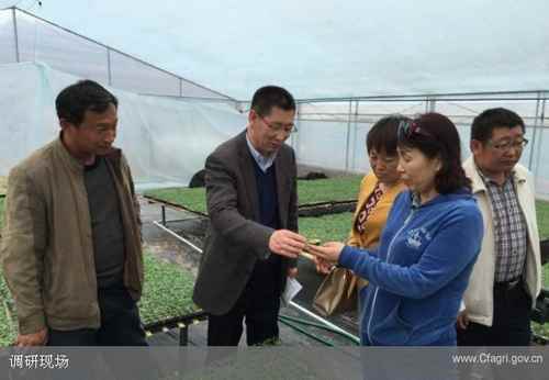 ���ɹų���У�ȫ����Լ������ר��������е����߲������������2