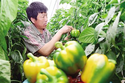 ɽ���ٹ���ʽ��̾��¸�·