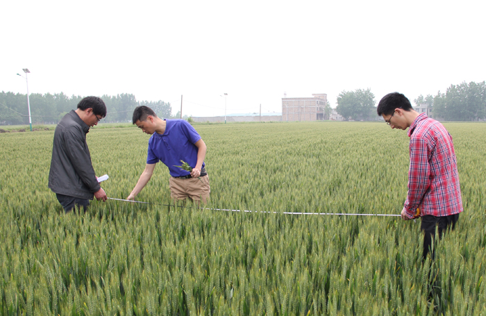 ����ʡũ�����ĸ��������չС������ṹ����