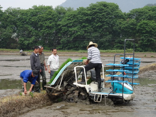 安徽旌德县水稻机插秧全面铺开2
