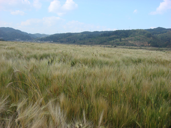 ������������Ķ����߲�����ʾ����Ч������2