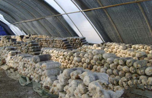 ����½���أ����ʳ�þ������� �����ϰ���