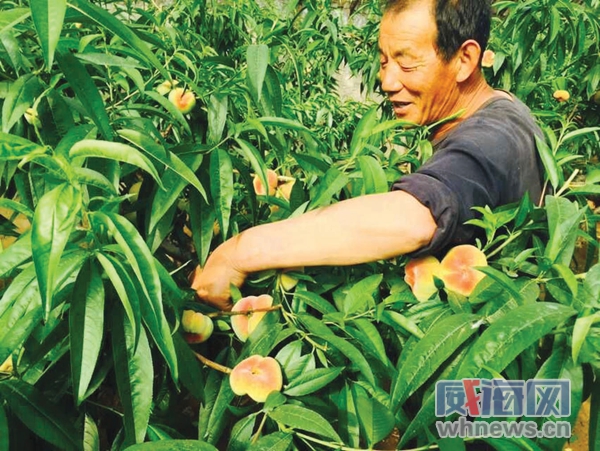 ɽ���������ɽ�����ǰ������ һ����ÿ��25Ԫ