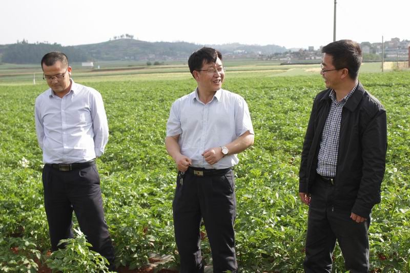 ����ʦ�����ƹ�С��������Ĥ�µι�500Ķ