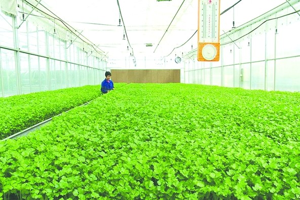 ������ˮ��ũҵ԰���ֳ���ѭ�����á���