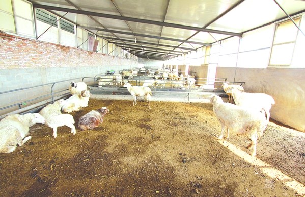 ����׼�����ᡣ��