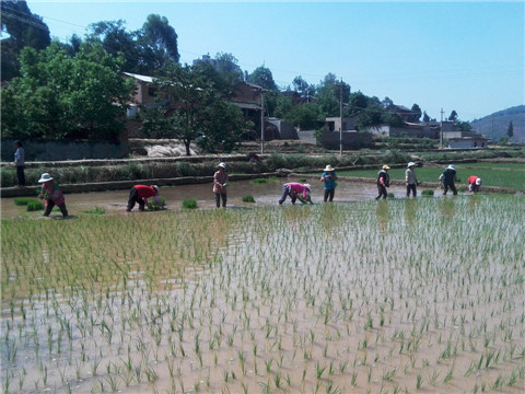 ����»Ȱ�ش����������ȿ�