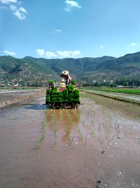 ���ϴ�Ҧ��ˮ����е���Բ�ʵ�ֿ��ź�