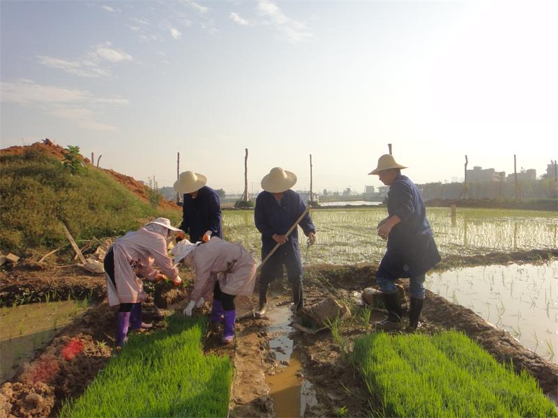 ������Ϫ�к�������ũҵ������Ա���µ�������