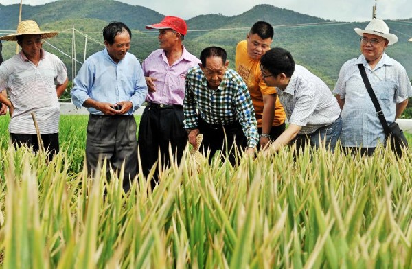 Ԭ¡ƽָ���������ǳ����ӽ������Ƹ߲���¼