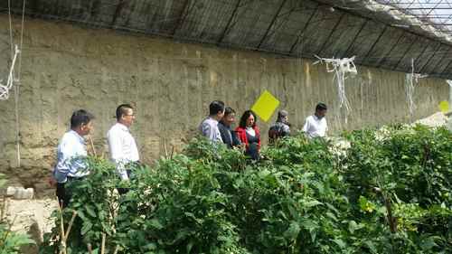 ���ɹŴ���������˳�����硰�����߲˱�׼԰��������Ŀ˳��ͨ������