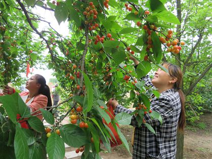 ���շ���������ӣ������