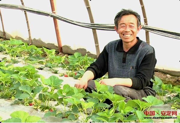 ���ඨ��³�ҹ��򣺲�ݮ���ˣ�����Ц��