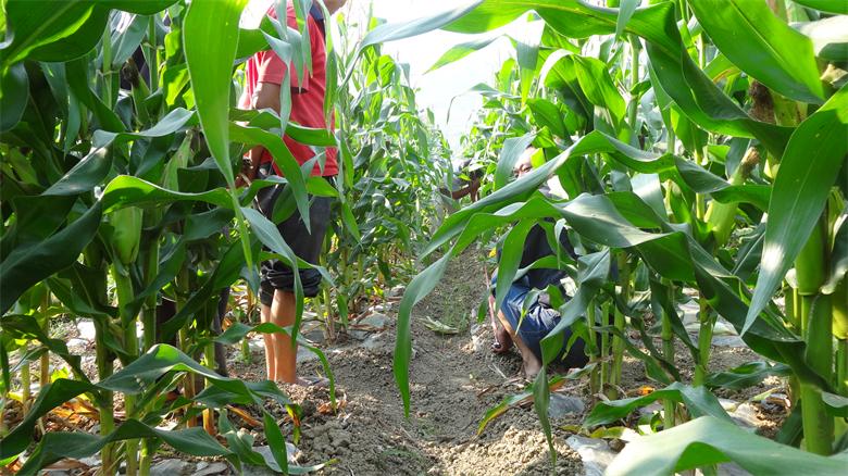 ���Ϲ������������������ί�ᶬ����˳��ͨ���������