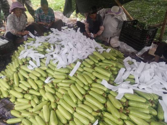 ����»���װ���С��ϣ�����«��ϲ�����