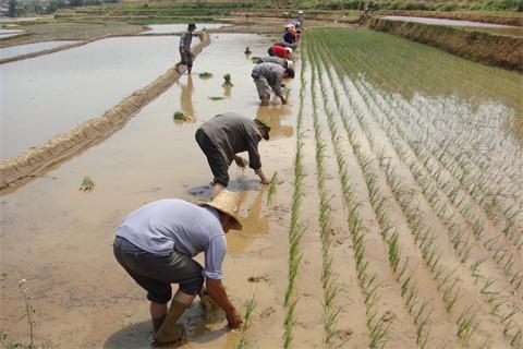 ������ɽ��ƽ���߰�ˮ���߲�����ʾ�������������������Ļ