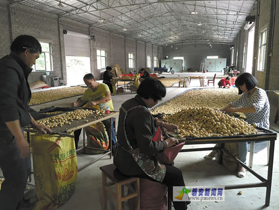 �㽭�Ͱ��أ���ĸ����ӹ���������