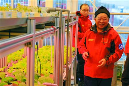 南极“上海温室”各色蔬菜成熟了 长城站里包韭菜饺子