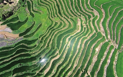 ������ָɽ����������