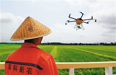 海南:无人机授粉大田洋